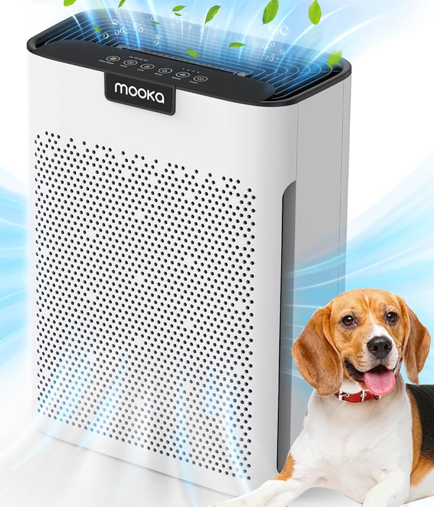 Indoor air quality